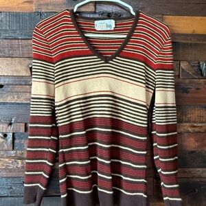 Vintage 70s Striped V Neck Sweater Beccobay USA Retro Earth Tone Knit Fitted